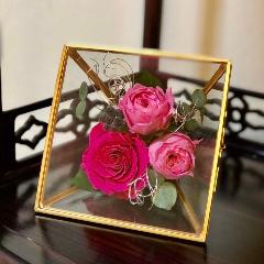 �v���U�[�u�h�t�����[�s���N �O���X�t���[��