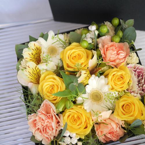 �C�G���[�I�����W�n�̃{�b�N�X�t�����[M�T�C�Y4