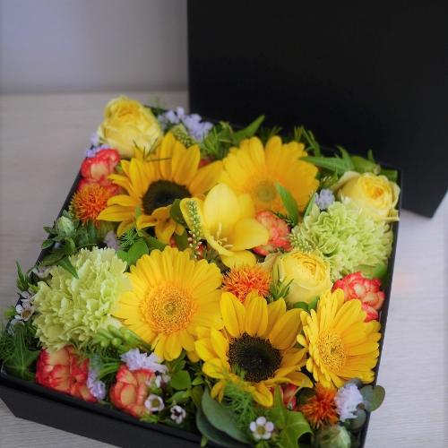 �C�G���[�I�����W�n�̃{�b�N�X�t�����[M�T�C�Y5