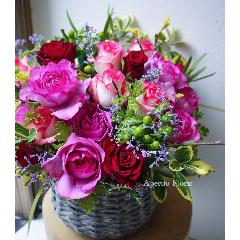 �o���A�����W�����g