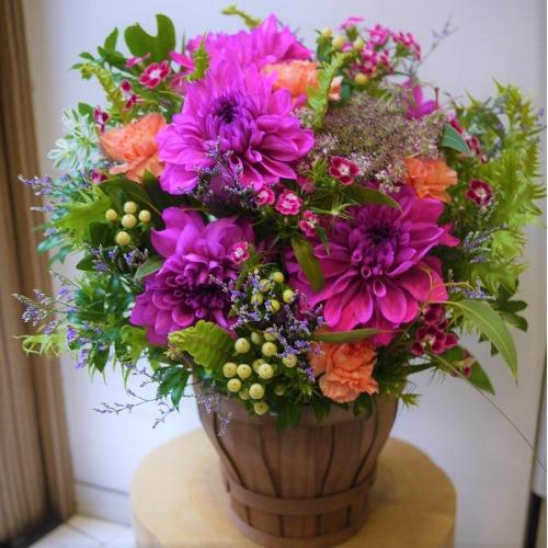 �s���N�_���A�̉؂₩�A�����W4