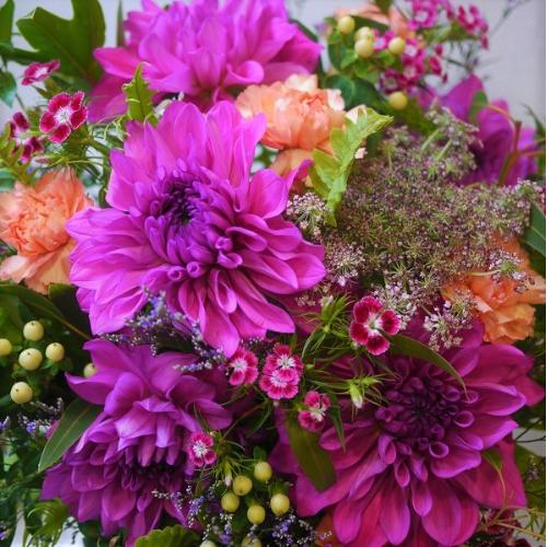 �s���N�_���A�̉؂₩�A�����W5