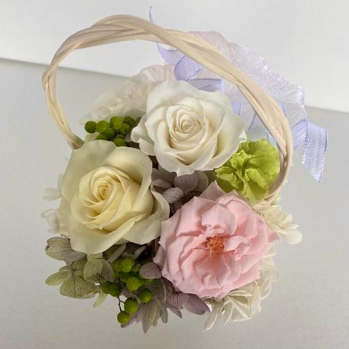 �v���U�[�u�h�t�����[ �z���C�g�o�X�P�b�g���[�u3