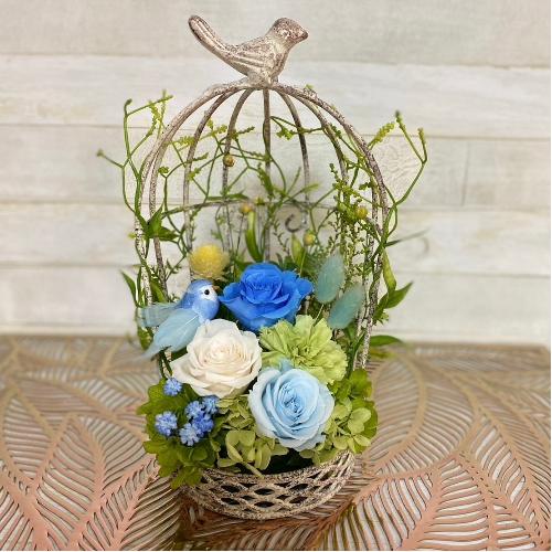 �v���U�[�u�h�t�����[ �A�[�`�^��������2