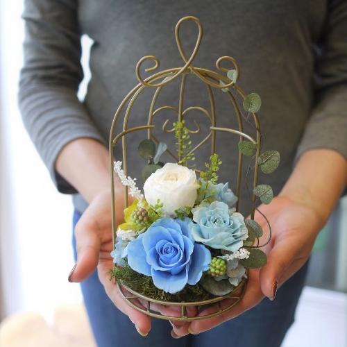�v���U�[�u�h�t�����[ �������u���[