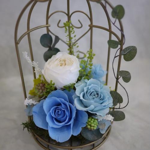 �v���U�[�u�h�t�����[ �������u���[2