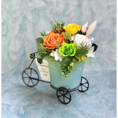 �v���U�[�u�h�t�����[�@�t�����[�J�[�g�I�����W4