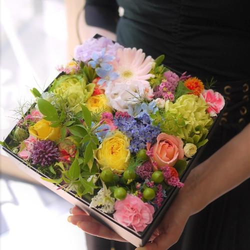 �J���t���{�b�N�X�t�����[M�T�C�Y
