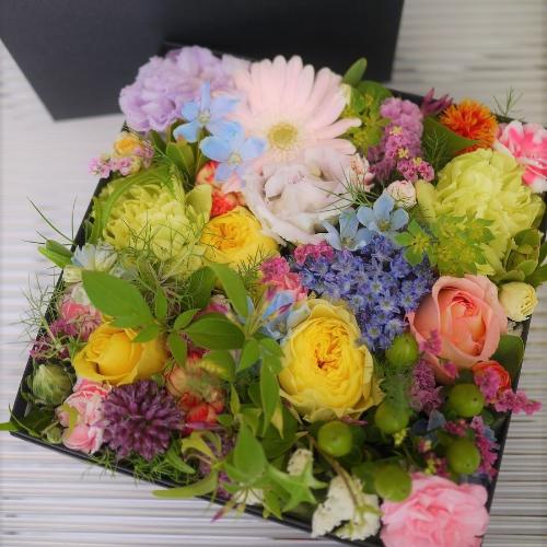 �J���t���{�b�N�X�t�����[M�T�C�Y3