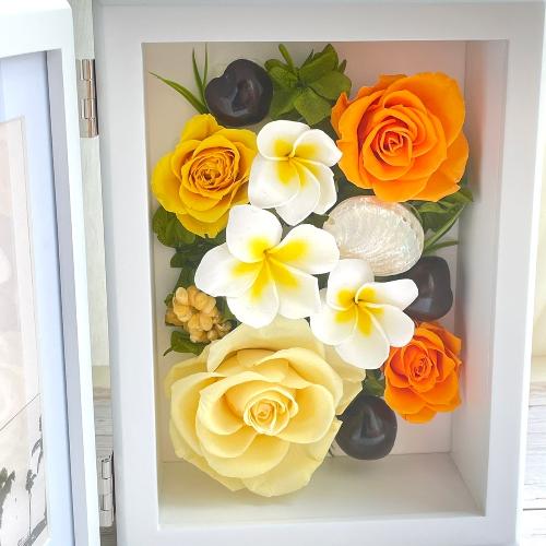 �n���C�A���v�������A�C�G���[�t�H�g�t���[��2