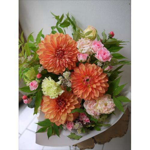 �F���܂����_���A�̉؂₩�A�����W�����g2