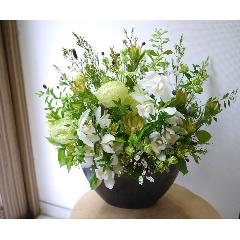 �O���[���n�M�`�A�����W