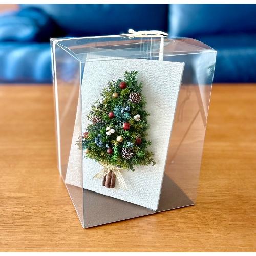 �v���U�[�u�h�t�����[�X�̃c���[�t���b�g�t���[���@�N���X�}�X6