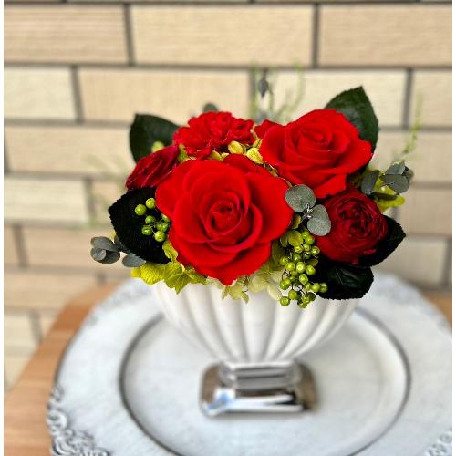 �v���U�[�u�h�t�����[�@���[�j���x�[�X�A�����W