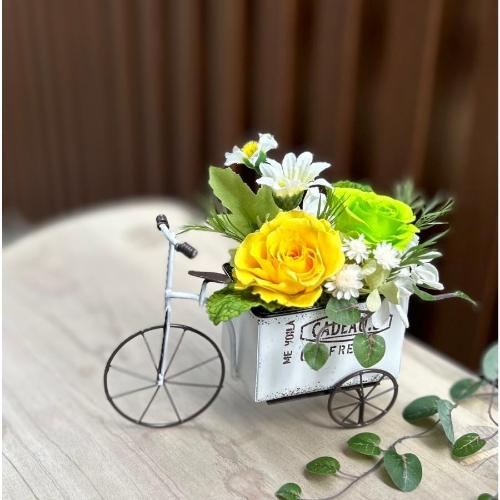 �v���U�[�u�h�t�����[�v�`�J�[�g�C�G���[