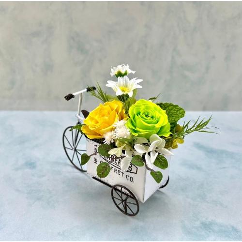 �v���U�[�u�h�t�����[�v�`�J�[�g�C�G���[4