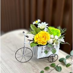 �v���U�[�u�h�t�����[�v�`�J�[�g�C�G���[