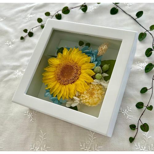 �v���U�[�u�h�t�����[ �Ђ܂��t���[��2