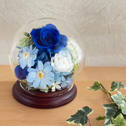 �v���U�[�u�h�t�����[�K���X�h�[���@�p���t�F��