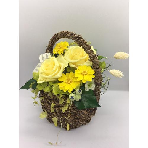 �C�G���[�t�����[�o�X�P�b�g3