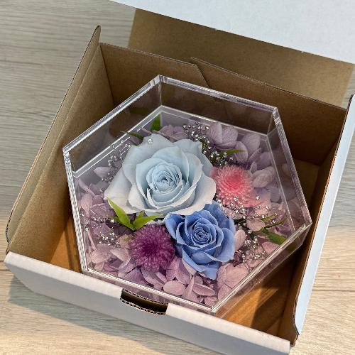 �v���U�[�u�h�t�����[�@�t�F���[�`�F�@�A�N�����@�u���[5