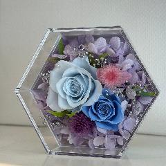 �v���U�[�u�h�t�����[�@�t�F���[�`�F�@�A�N�����@�u���[