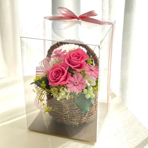 �s���N�t�����[�o�X�P�b�g5