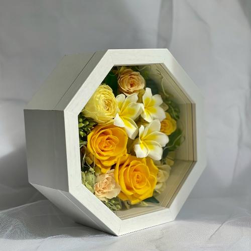 �v���U�[�u�h�t�����[ �L�n�[���@�C�G���[�v�������A���p�t���[���i�I�[�_�[��P�T�Ԍ�[)2