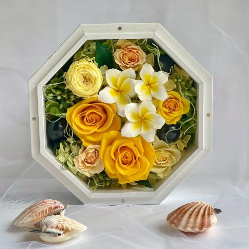 �v���U�[�u�h�t�����[ �L�n�[���@�C�G���[�v�������A���p�t���[���i�I�[�_�[��P�T�Ԍ�[)3