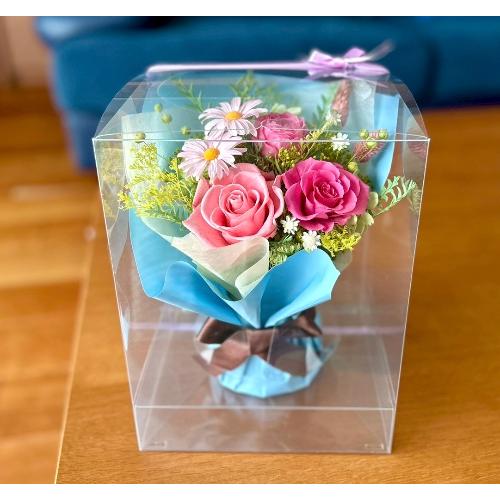 �v���U�[�u�h�t�����[ �X�^���f�B���O�u�[�PL6