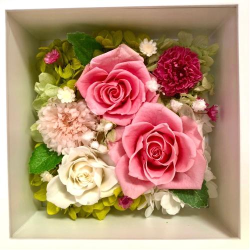 �v���U�[�u�h�t�����[ �t�H�g�t���[���s���N2