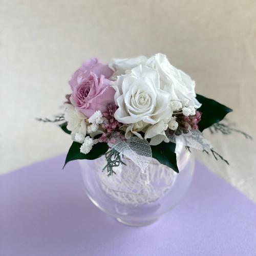 �v���U�[�u�h�t�����[���C��2