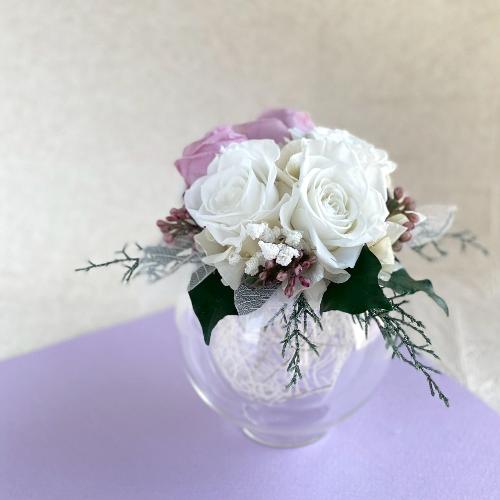 �v���U�[�u�h�t�����[���C��4