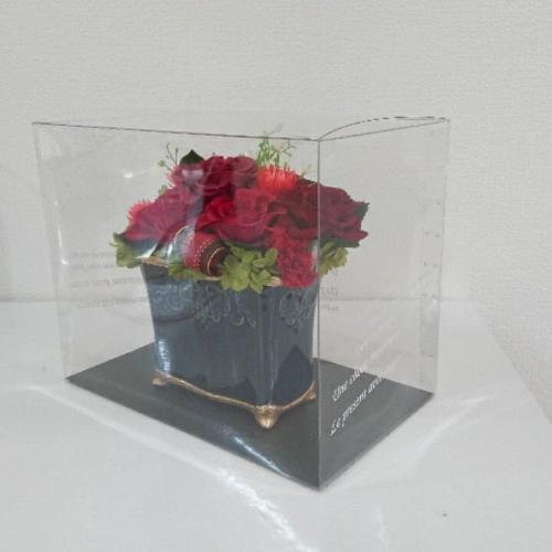 �p���e�[�����b�h7
