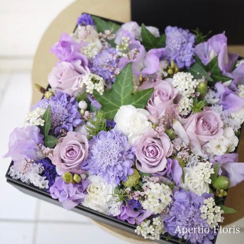 �p�[�v���̃{�b�N�X�t�����[M�T�C�Y