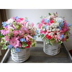 �s���N�n�A�����WM�T�C�Y