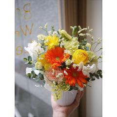 ���܂����~�j�A�����WS�C�G���[�n