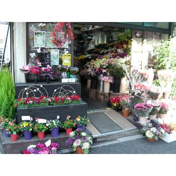 �X�܊O�ω摜