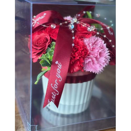 �y�V���{���t�����[�z�J�b�v�P�[�LRED2