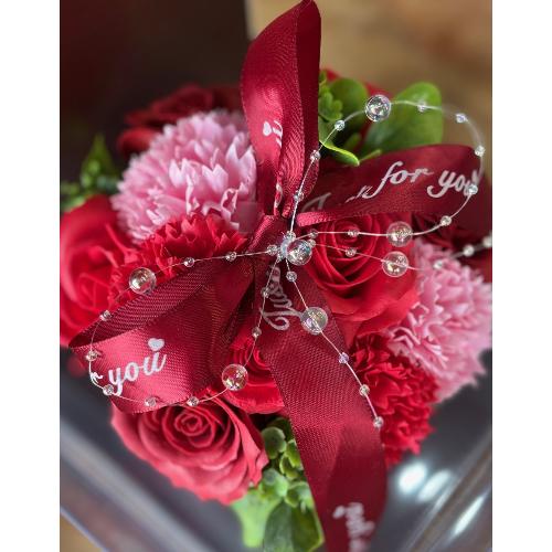 �y�V���{���t�����[�z�J�b�v�P�[�LRED5