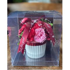 �y�V���{���t�����[�z�J�b�v�P�[�LRED