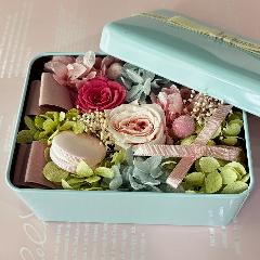 �y�v���U�[�u�h�t�����[�z�}�J����BOX�F�u���[��