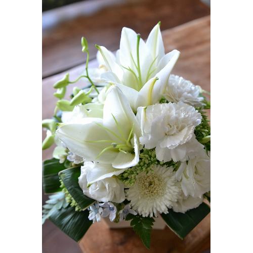 �y�A�����W�����g�z �z���C�g�t�����[2