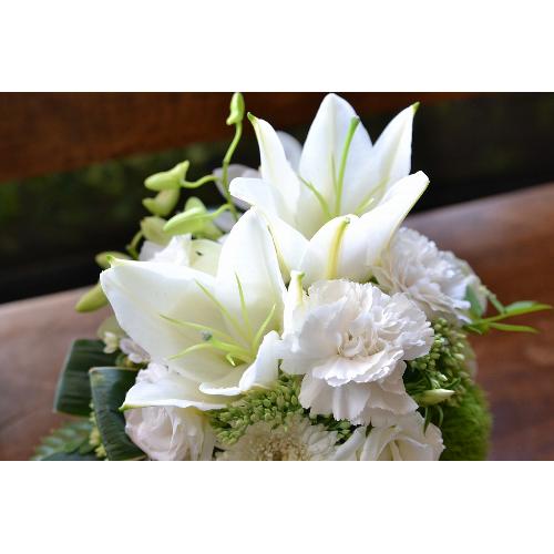 �y�A�����W�����g�z �z���C�g�t�����[4