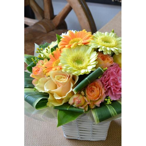 �y�A�����W�����g�z �r�^�~���J���[�̃A�����W�����g4