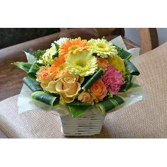 �y�A�����W�����g�z �r�^�~���J���[�̃A�����W�����g
