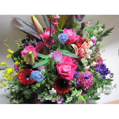 �X�����C�ɓ��聙�A�����W��s���N�p���T�|
