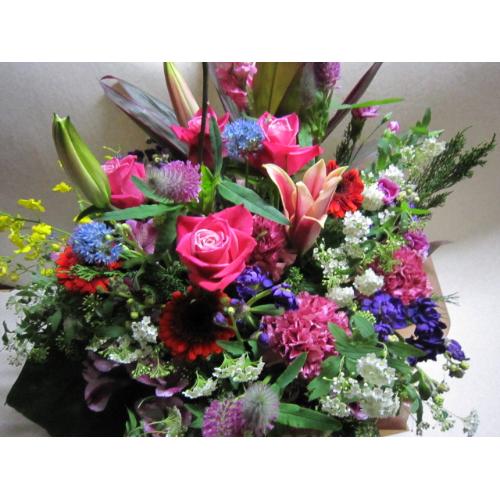 �X�����C�ɓ��聙�A�����W��s���N�p���T�|2