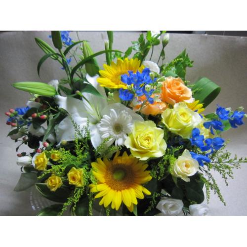 �������a�������A�����W�C�G��-4