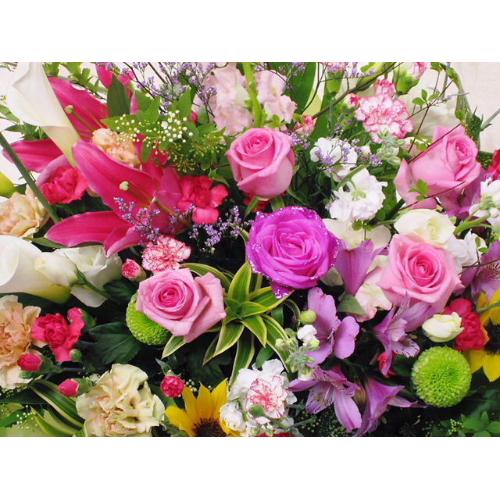 �X�����ꉟ���A�����W��2